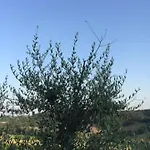 Casa Natura Дом отдыха