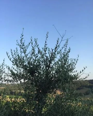 Casa Natura Semesterbostad